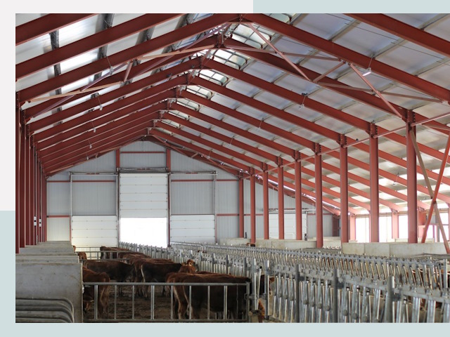 Строительство коровников в Орехово-Зуево