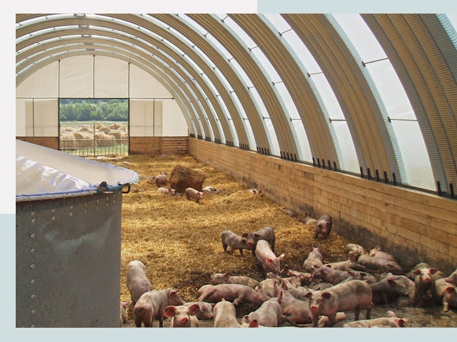 Строительство свинарников в Орехово-Зуево