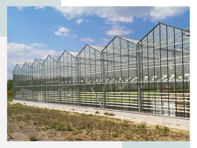 Строительство теплиц в Орехово-Зуево от 625 руб. за м²