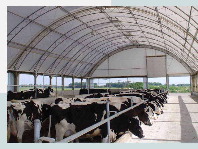 Тентовые коровники в Орехово-Зуево